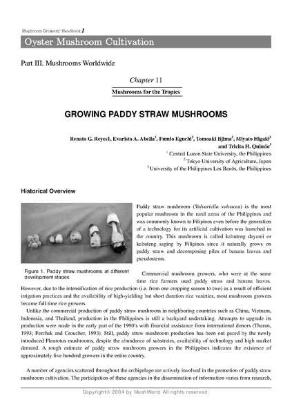 File:Volvariella growing.pdf · version 1.pdf