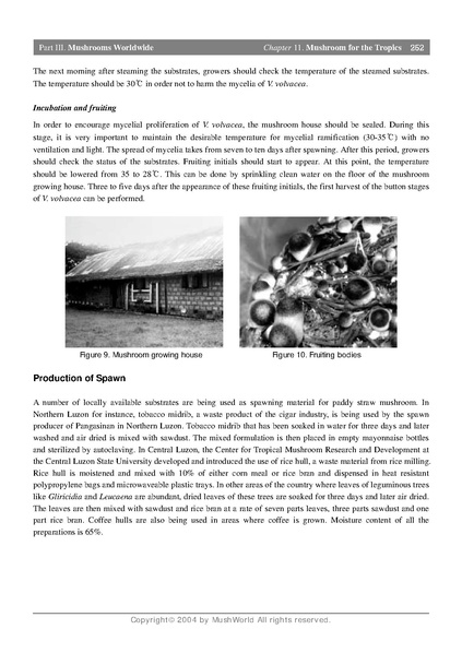File:Volvariella growing.pdf · version 1.pdf