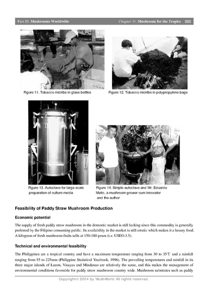 File:Volvariella growing.pdf · version 1.pdf