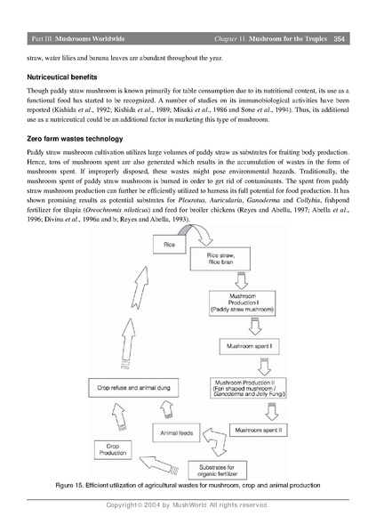File:Volvariella growing.pdf · version 1.pdf