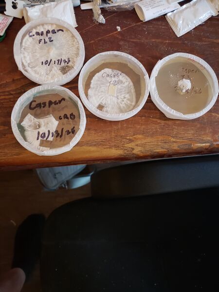 File:20260221 120037.jpg