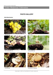 next page →