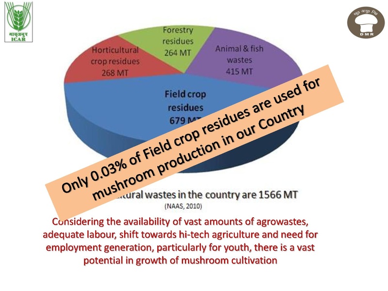 File:Technologies for Mushroom Production.pdf