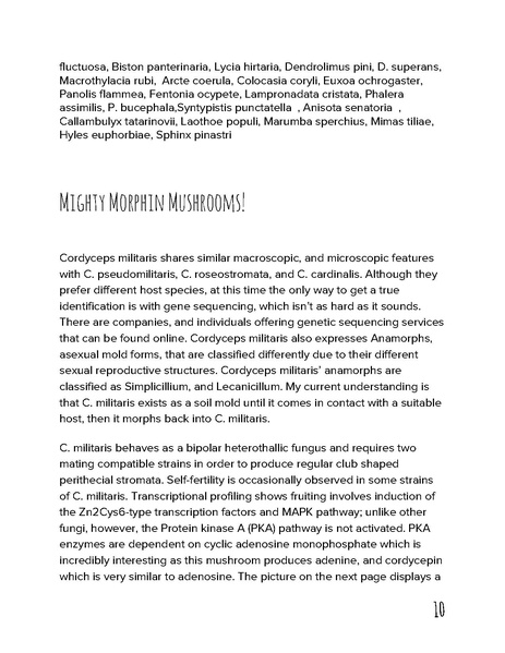 File:Cordyceps cultivation handbook.pdf